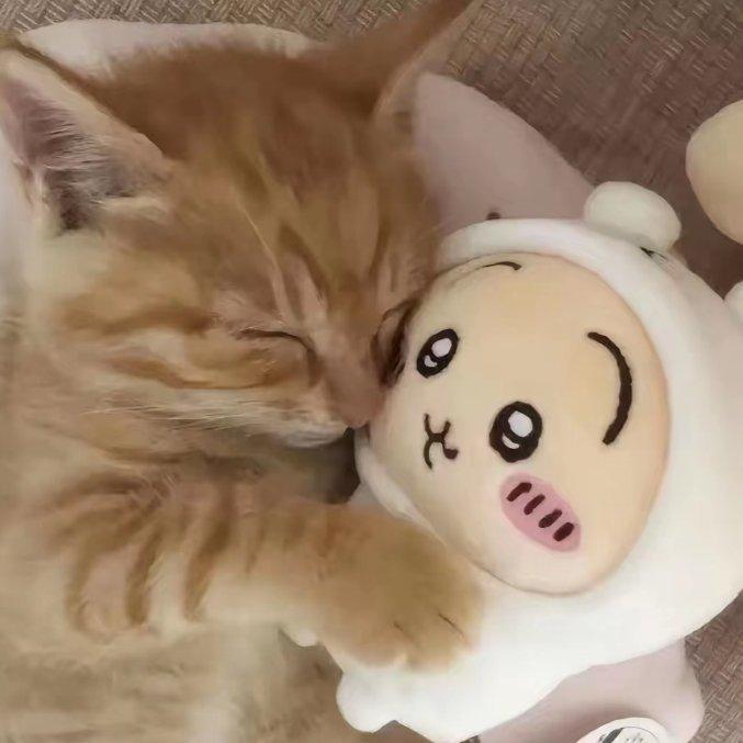 也许世界终归于蓝