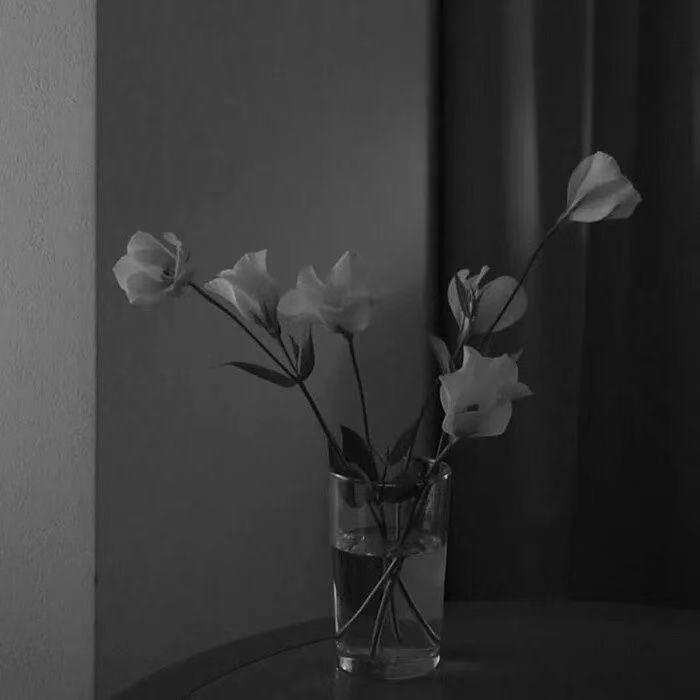 没了我你依然拥有太阳