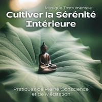 Cultiver la Sérénité Intérieure (Pratiques de Pleine Conscience et de Méditation (Musique Instrumentale))