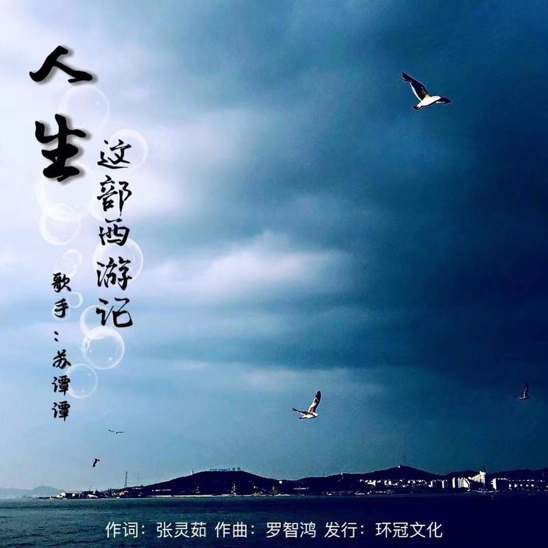 人生这部西游记 (DJ九锐版)封面