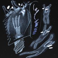 cul de sac (feat. Moses Sumney, Julianna Barwick, Nicole Miglis)