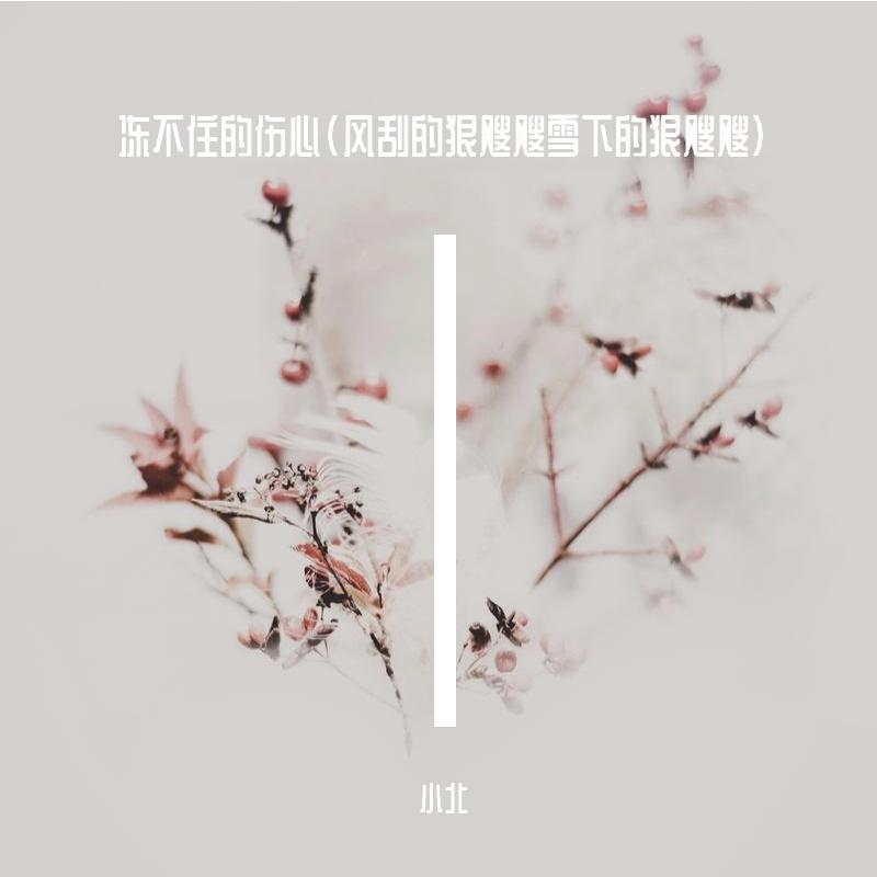 冻不住的伤心(风刮的狠飕飕雪下的狠飕飕)封面