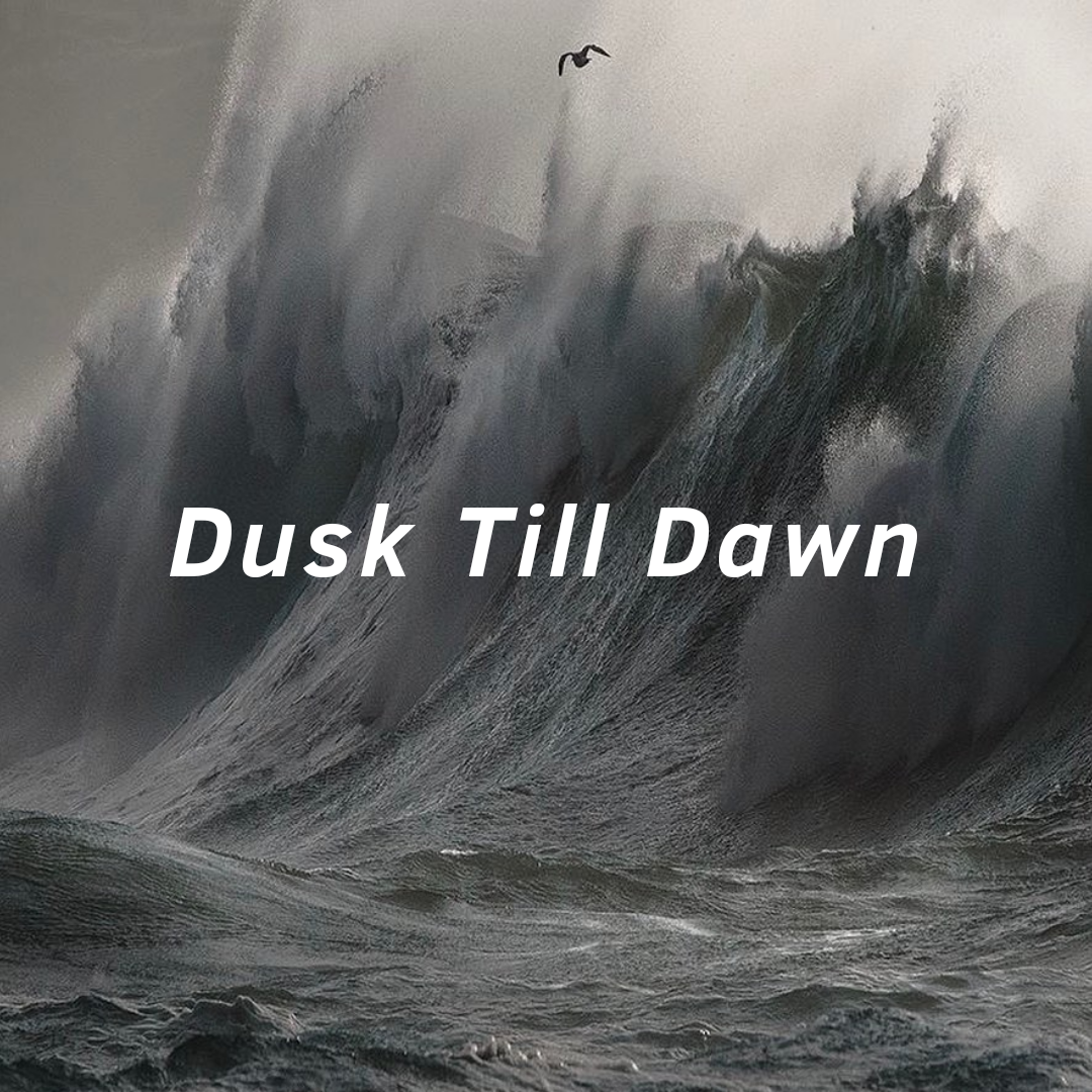 ZAYN-Dusk Till Dawn（SKGYR remix）