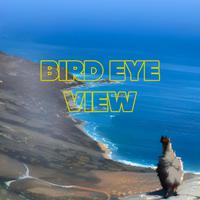 Bird Eye View (feat. Oddisee, G-Salih & Aidyproof) [Enhanced Version]