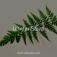 Winter Sleep For Dogs