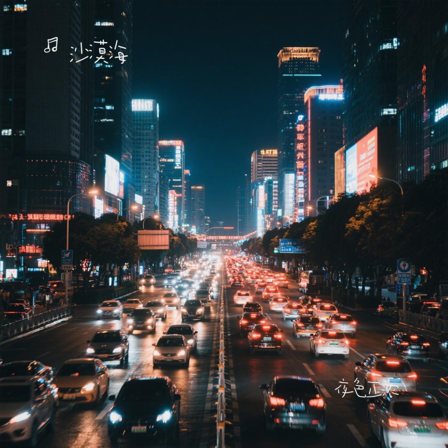 夜色正浓封面