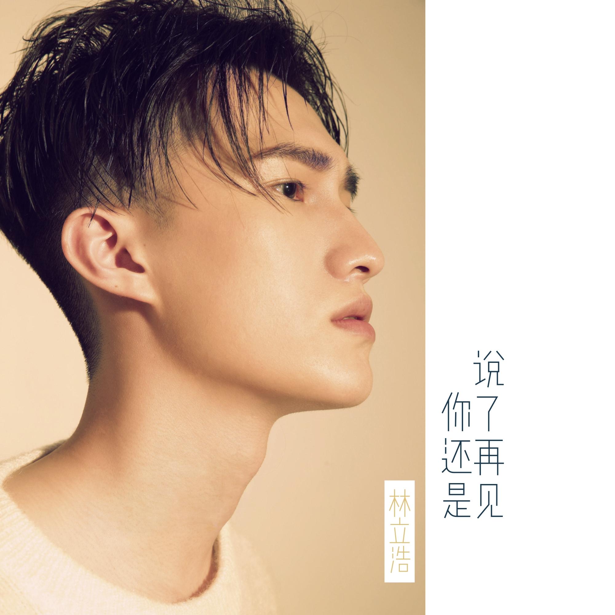你还是说了再见封面