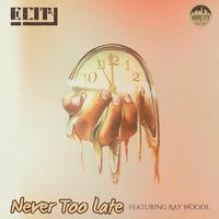 Never To Late (feat. Ray Woods)