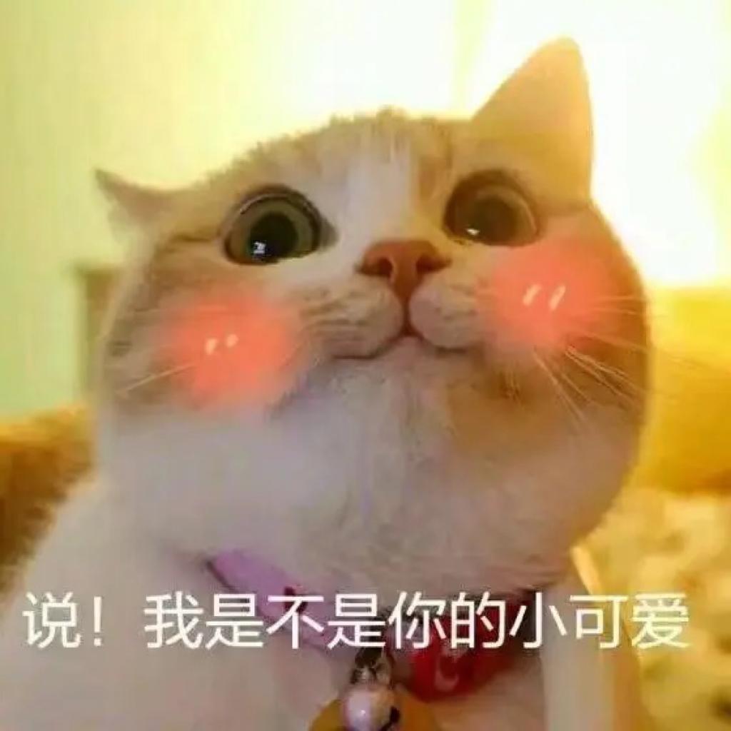 李子味的李子mua