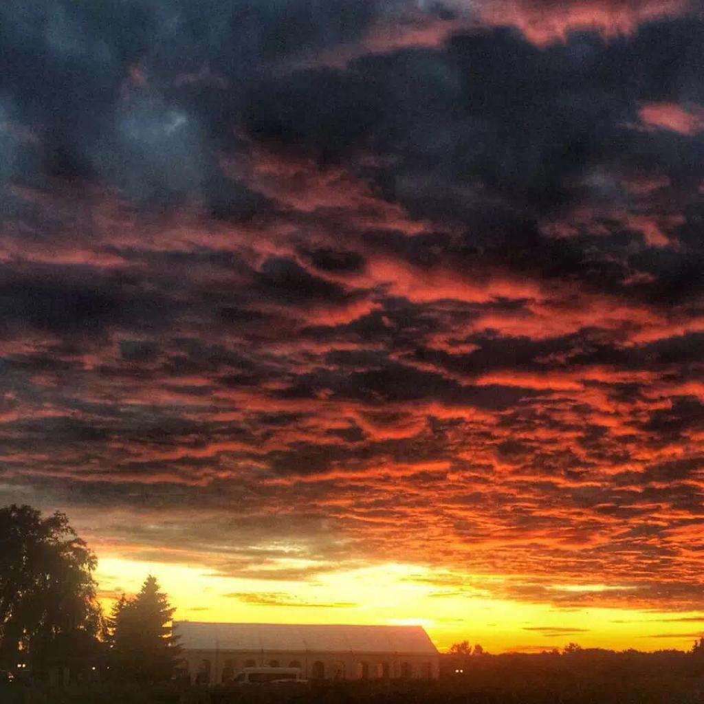 欧美小众独立音乐，隐世仙音