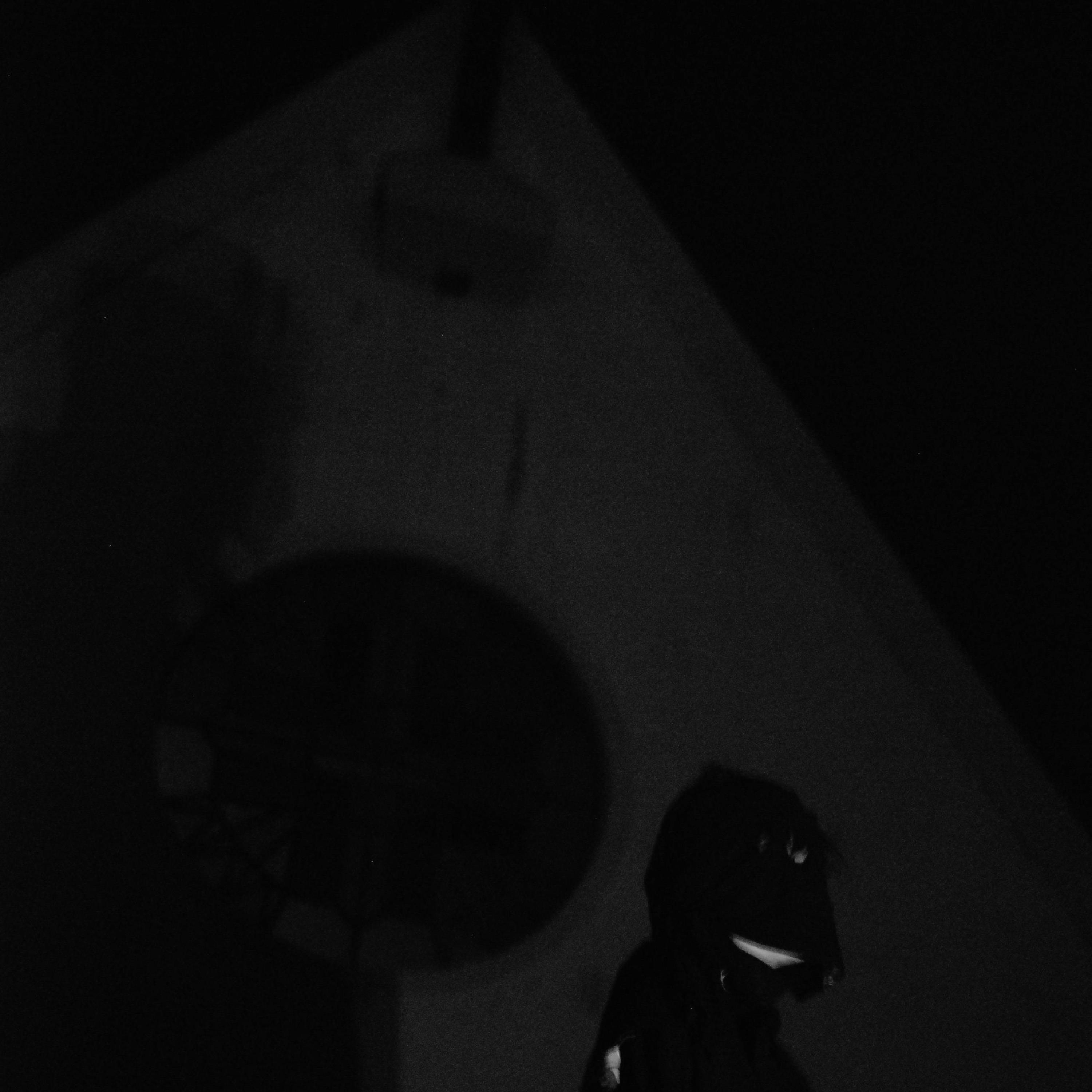 sol (feat. Jackdaplug & SSY464)