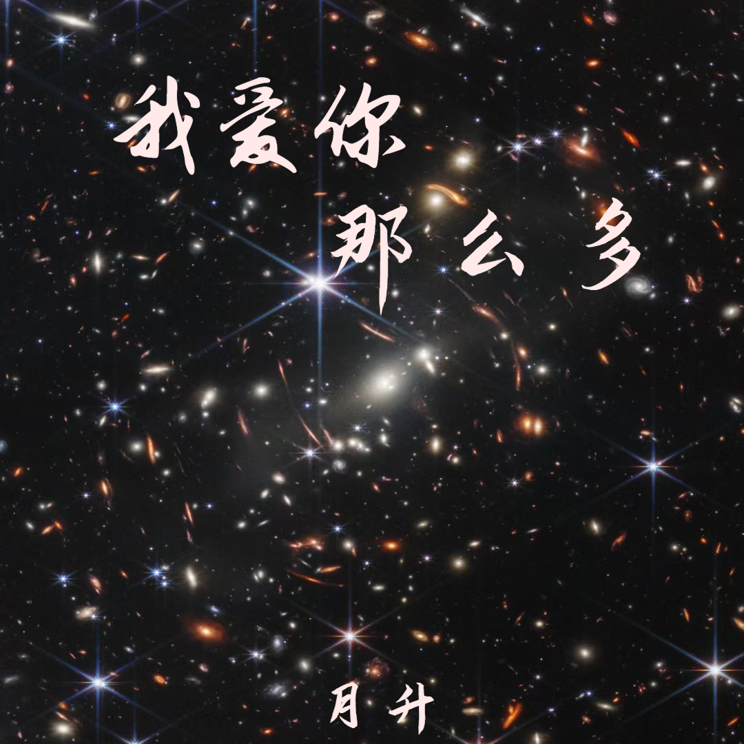 我爱你那么多封面