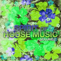 Spirit of House Music, Vol. 2