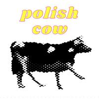 polish cow