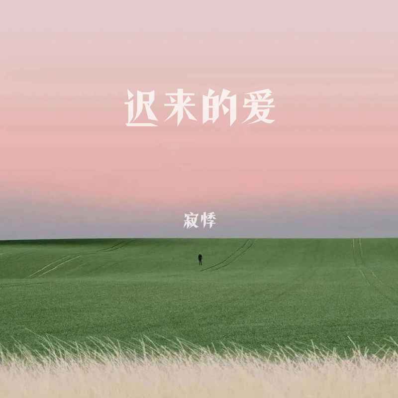 迟来的爱 (伴奏)封面
