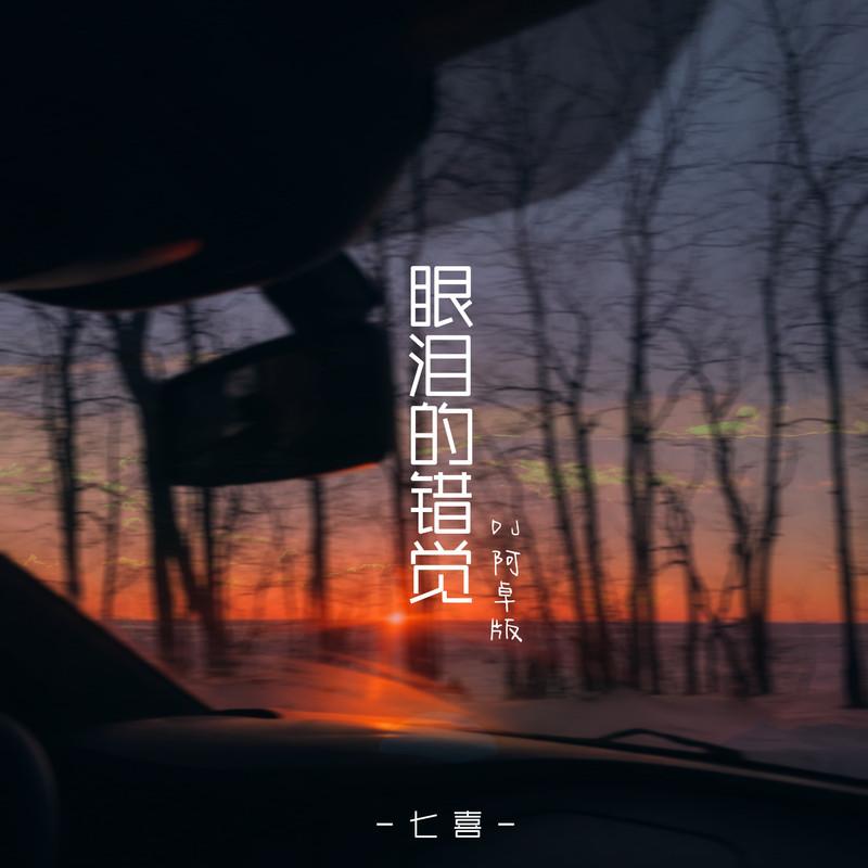 眼泪的错觉 (DJ阿卓版伴奏)封面
