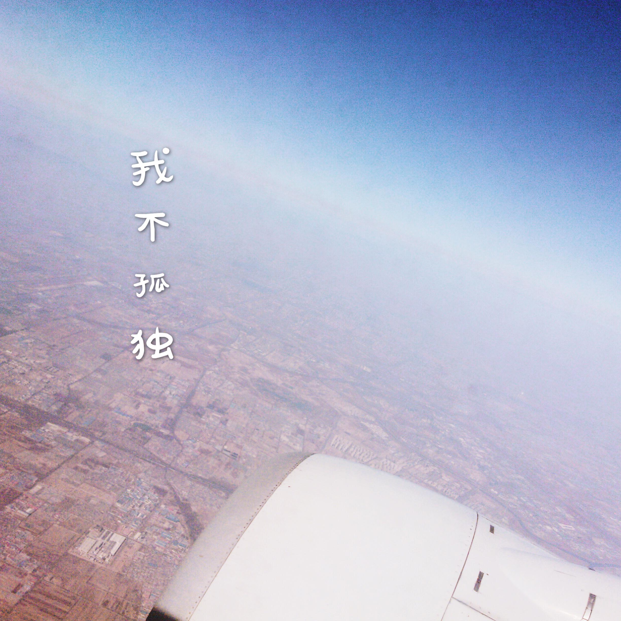 安静的树封面