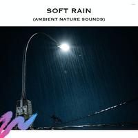 Soft Rain (Ambient Nature Sounds)