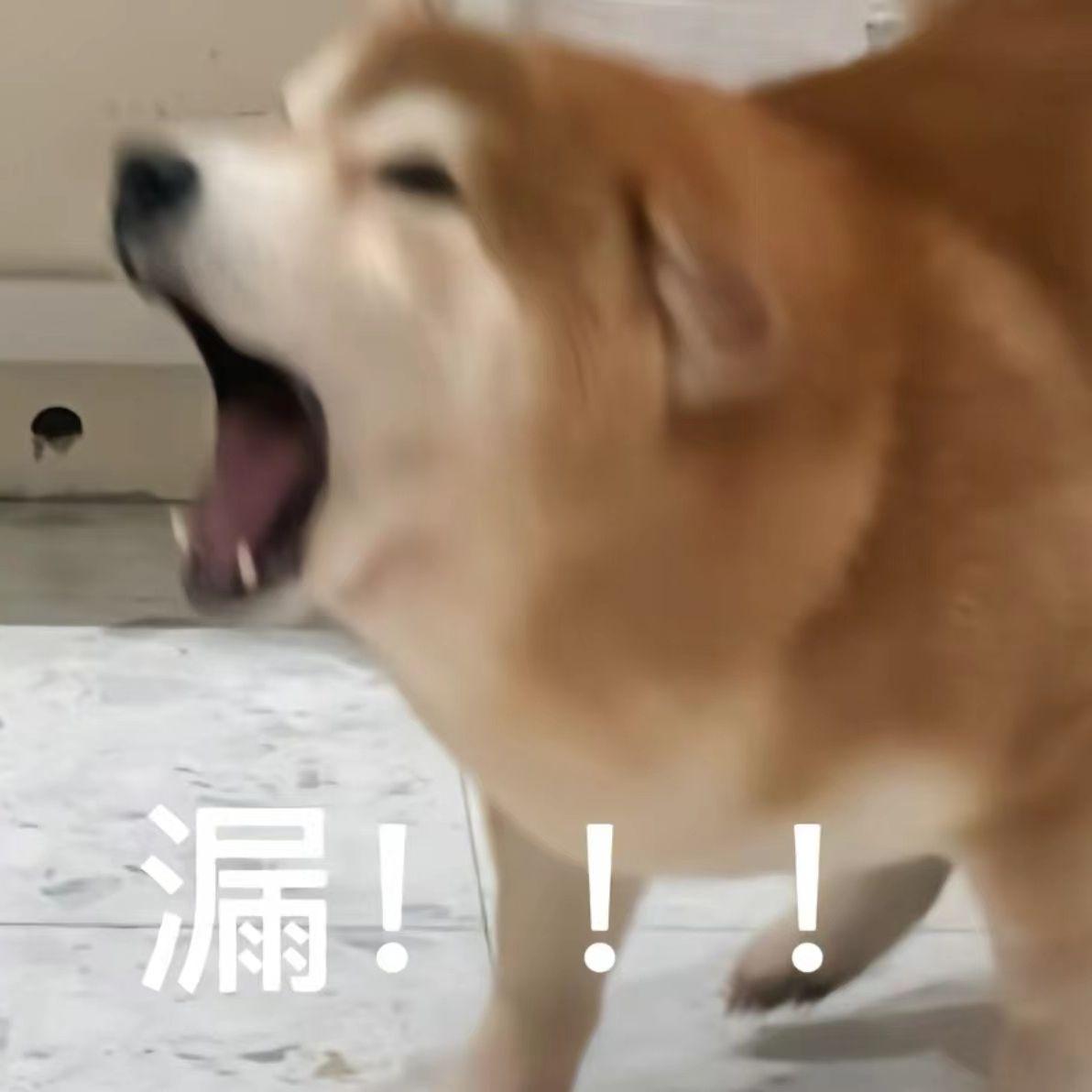 TG小辉-女孩（Leon Mashup Mix)（Leon remix）