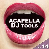 Acapella DJ Tools, Vol. 14