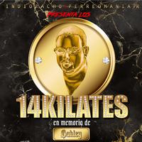 Los 14 Kilates