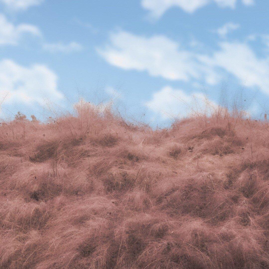 ~慕寒~(原翻合和)