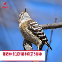 Tension Relieving Forest Sound