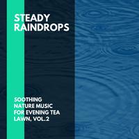 Steady Raindrops - Soothing Nature Music for Evening Tea Lawn, Vol.2