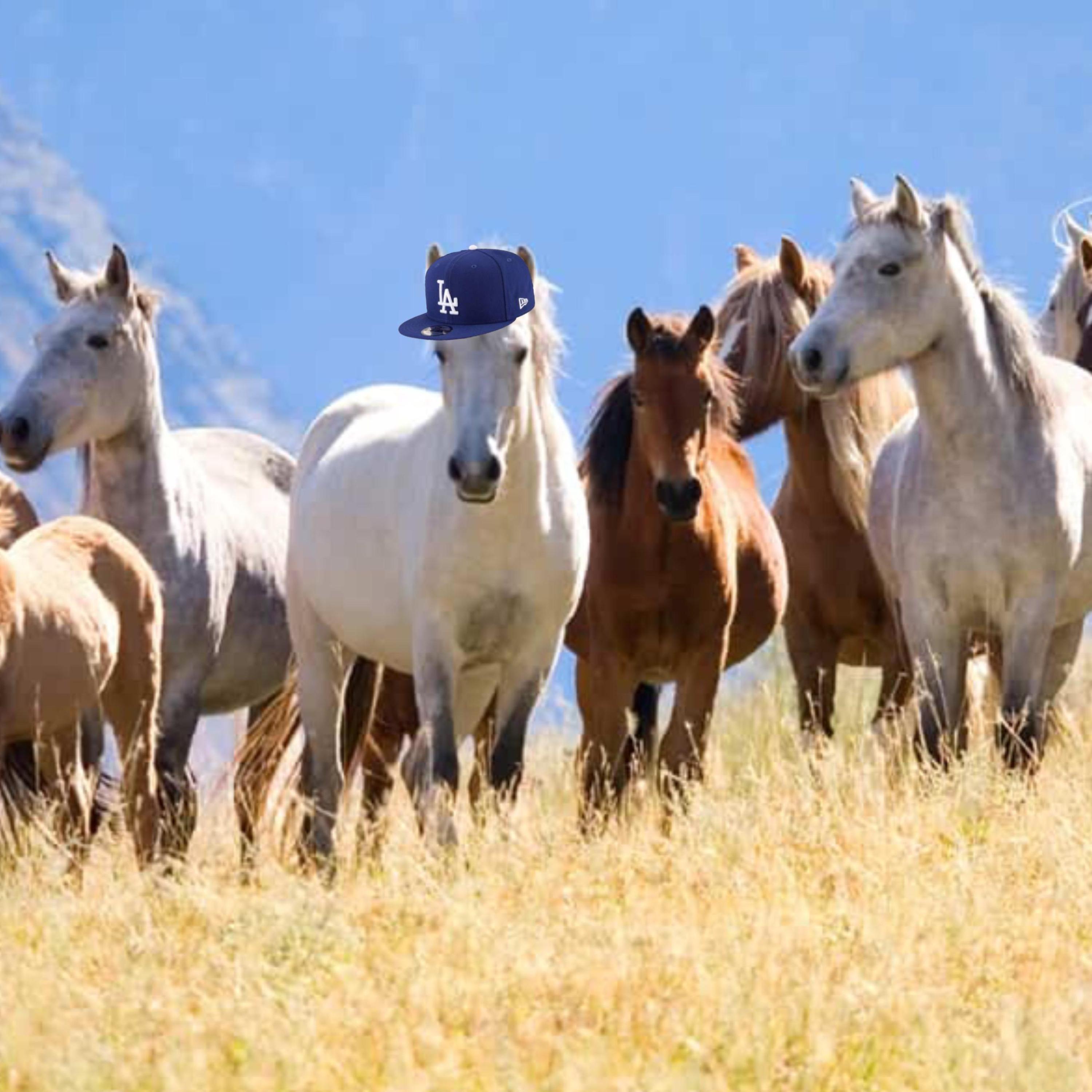 Leaving Cali! (feat. thquib, Juno, Tubbo, Mason Ramsey, Troy & DripReport)