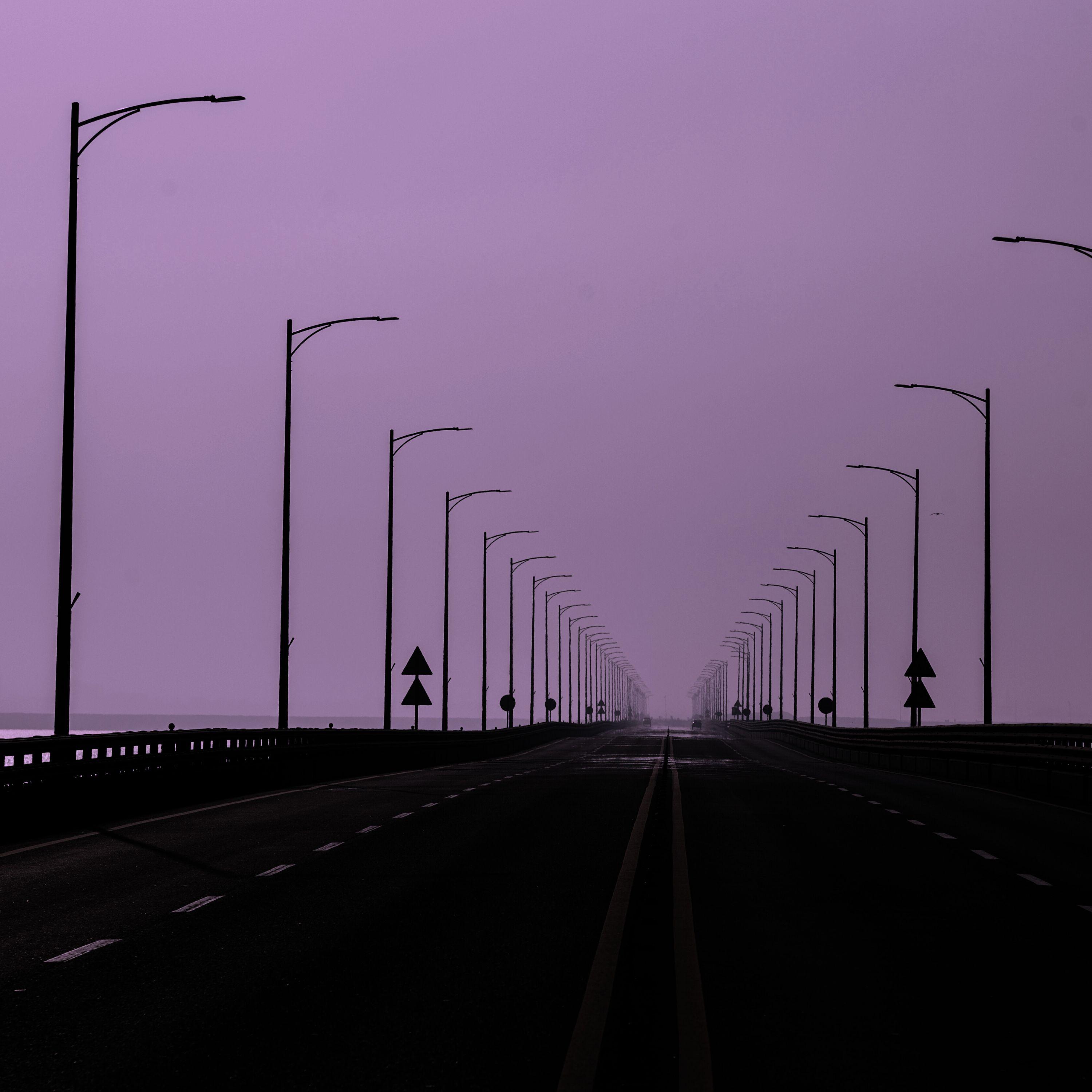 Pouncing Paws Pattering on Polished Floors