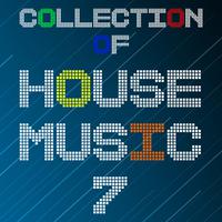 Collection of House Music, Vol. 7