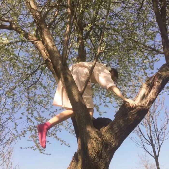 妙龄童（翻自 申晨）