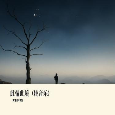 此情此境 (纯音乐) - 刘宗胜封面