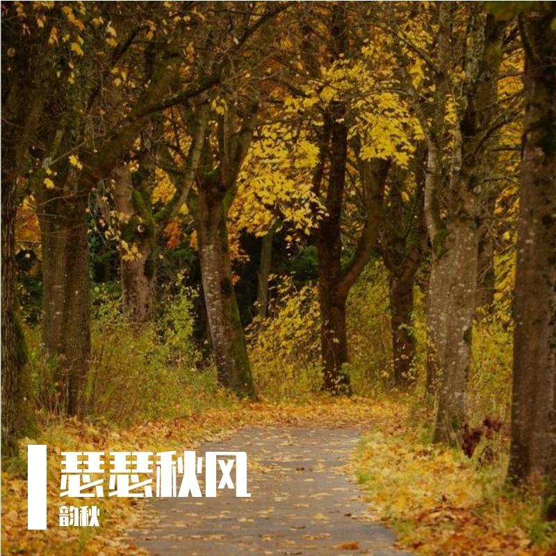 热冬封面