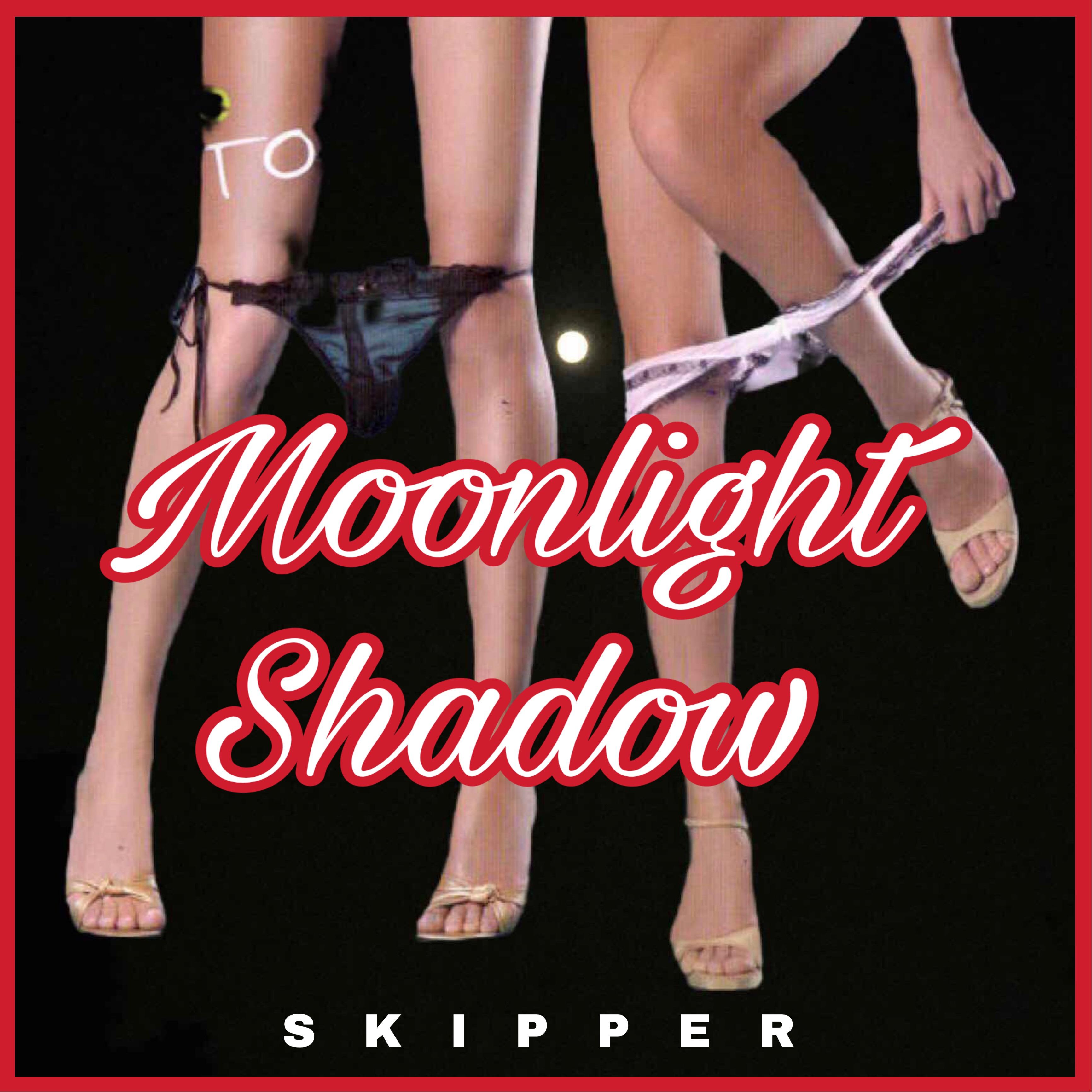 Groove Coverage-Moonlight Shadow（Skipper remix）