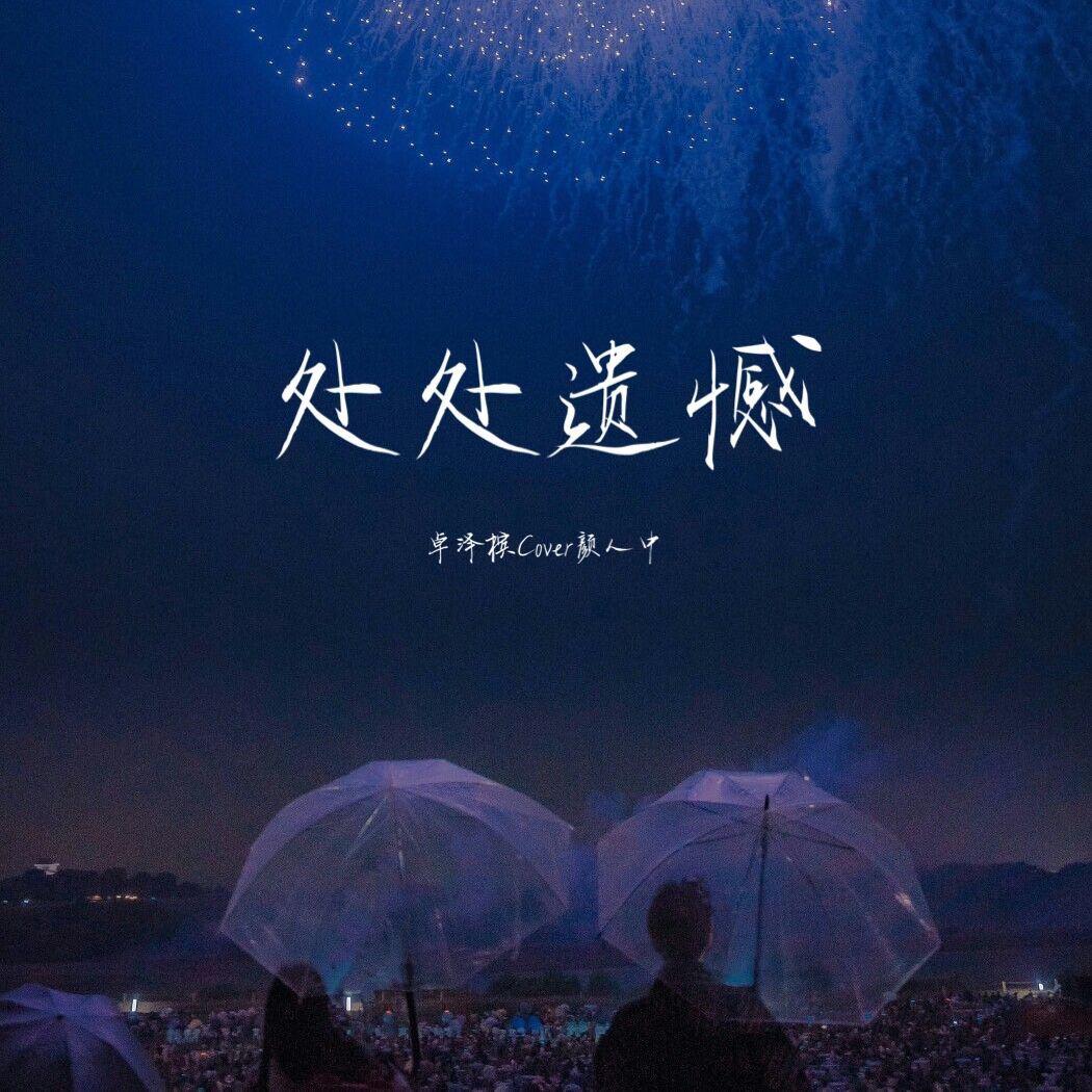 处处遗憾封面