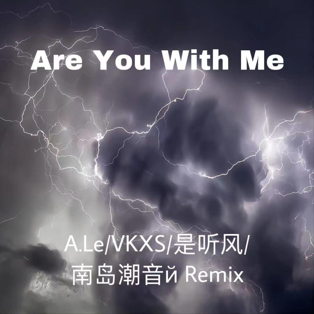 Are you with me (A.Le/VKXS/是听风/ 南岛潮音й Remix)