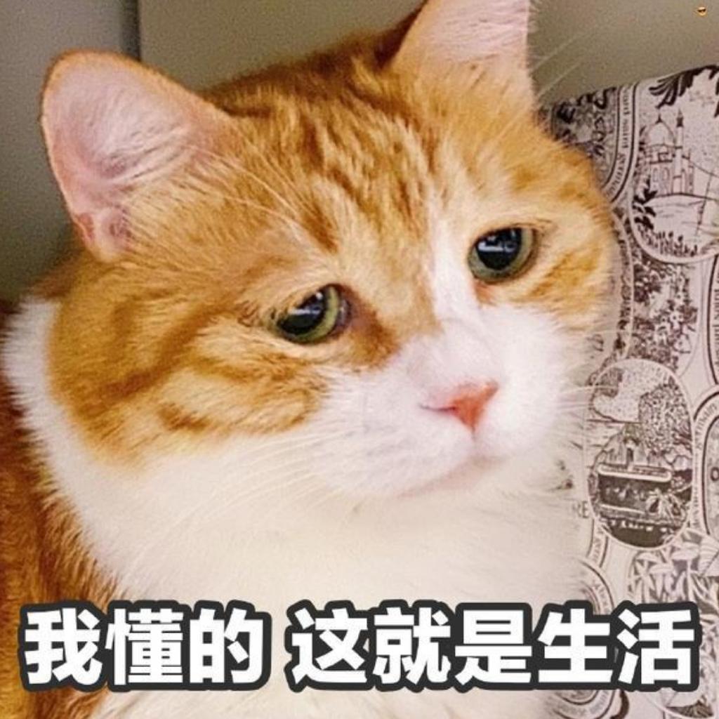 一首上班提神醒脑两首精神百倍