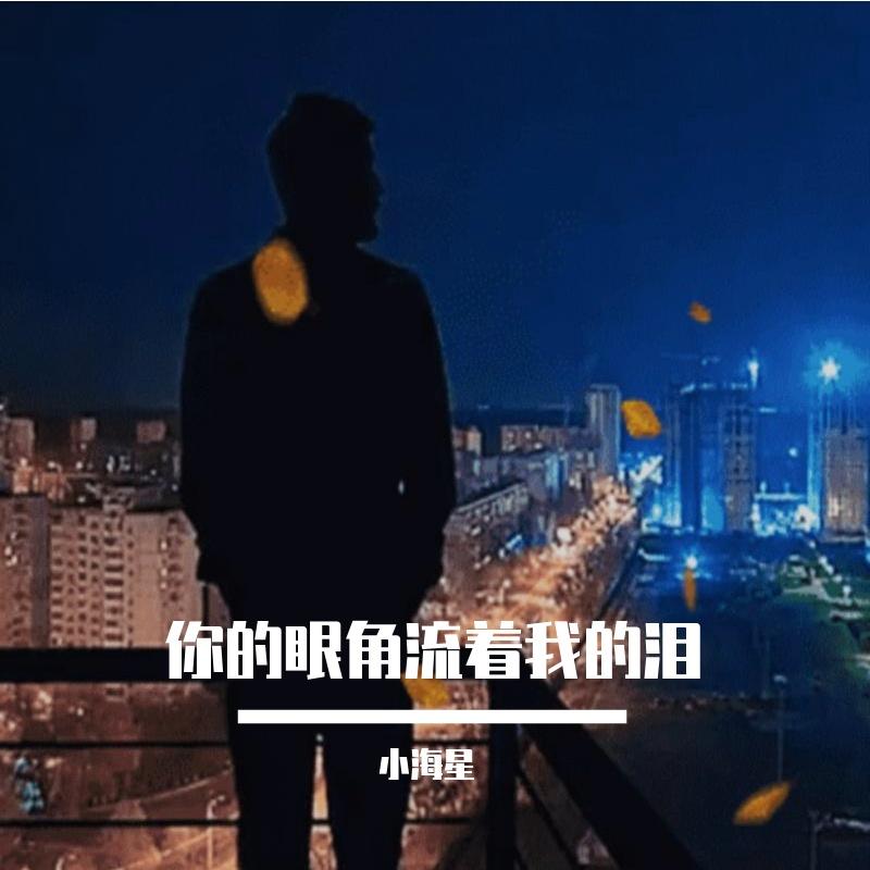 你的眼角流着我的泪封面