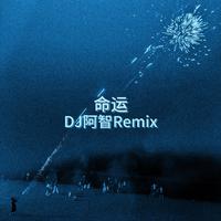 命运(DJ阿智Remix)