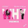 Lizzen - Why (Remix)