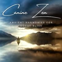 Rainy Canine Zen: Ambient Harmonies for Doggy Bliss