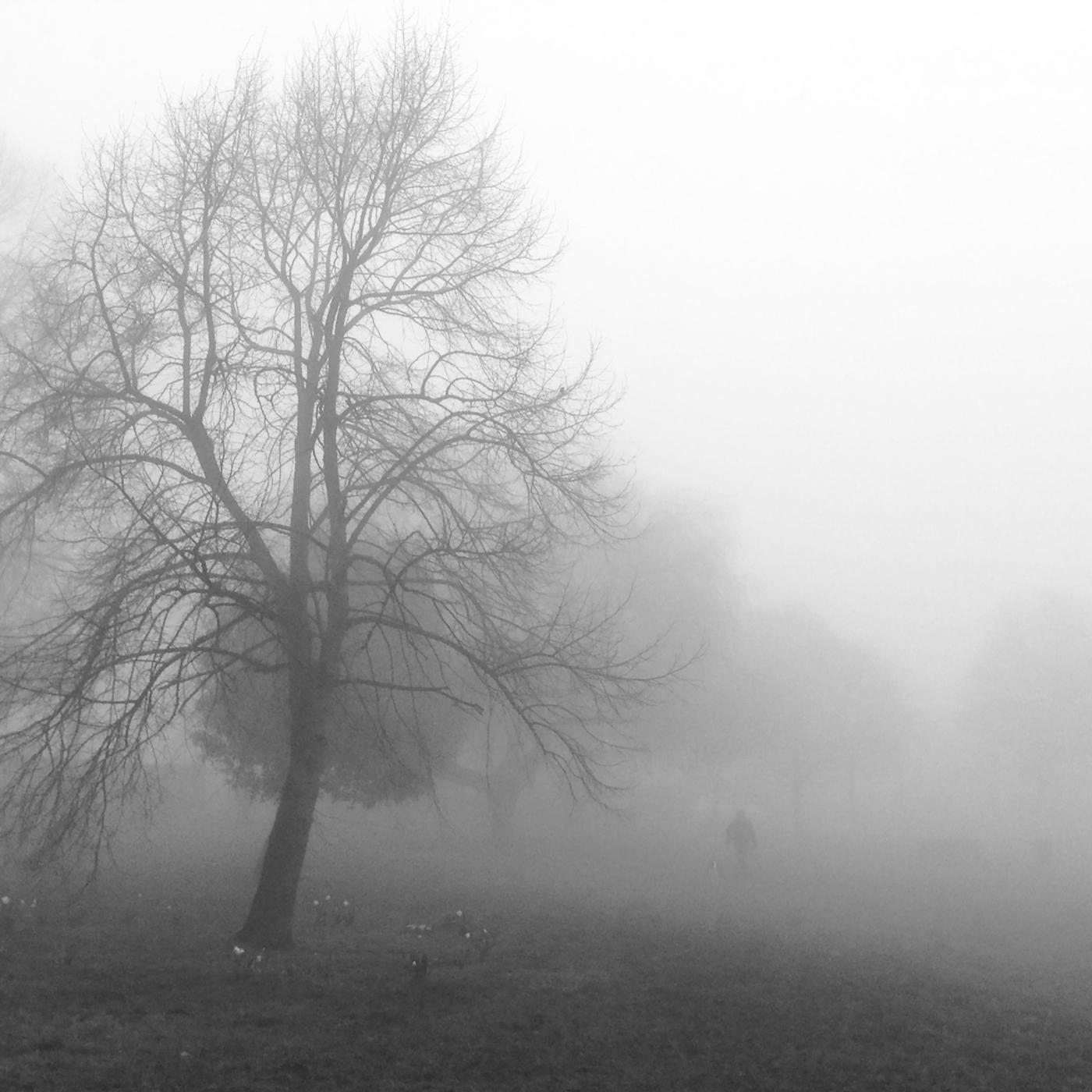 (Call Me Crazy) But I'm Free