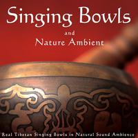 Singing Bowls and Nature Ambient (Real Tibetan Singing Bowls in Natural Sound Ambience)