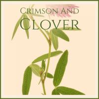 Crimson And Clover