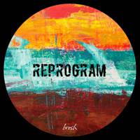 Reprogram