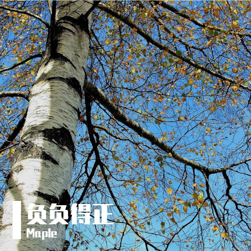 爱情的微光 - Maple封面