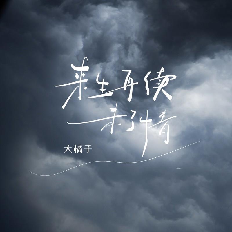来生再续未了情 (烟嗓版伴奏)封面