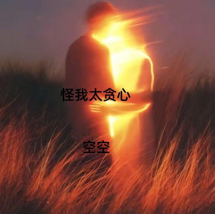 怪我太贪心封面