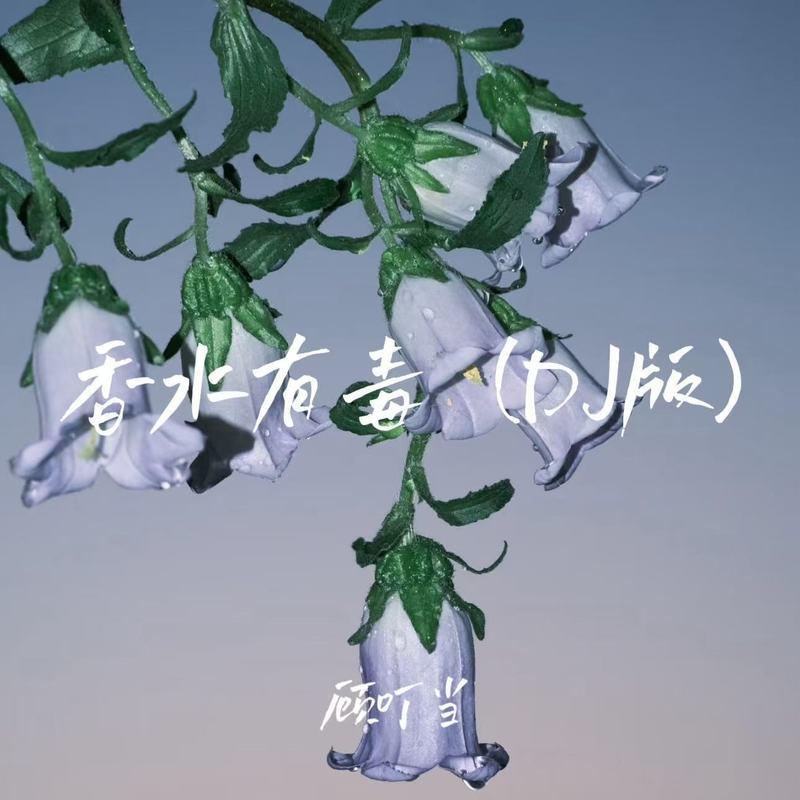 香水有毒 (DJ慢摇版)封面